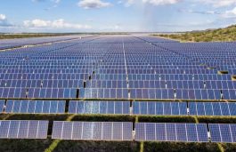 Ahead of Sunset On Brazil’s Solar Subsidies, Developers Race to Secure Projects