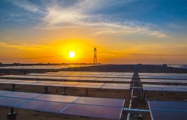 DIF Capital Becomes Majority Shareholder in Solar Platform ib vogt