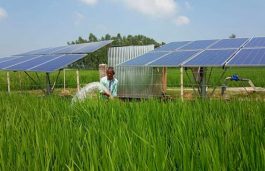 Dehradun is Home to North India’s First Solar-Powered Hydroponic Plant