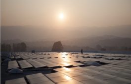 SECI Floats Tender for 2000 MW Solar Projects (ISTS-IX)