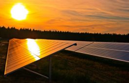 MSEDCL Gets one Bid for 5 MW in Response to 1350 MW Solar Tender