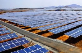 NTPC Operationalises 50 MW Solar Project in Nokhra, Bikaner