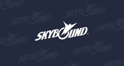 Skybound Games