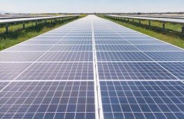 RattanIndia Sells Solar Assets Worth 306 MW to GIP for Rs 1670 Crore