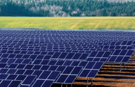 Uttar Pradesh government to set up 750 MW solar power plant at Badhla, near Jodhpur: Report